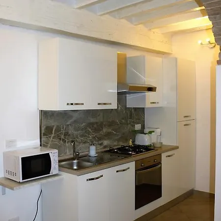 Il Tenore D'oro Centralissimo Apartment Parma