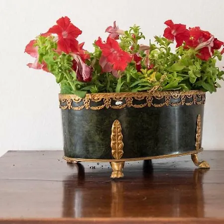 Il Tenore D'oro Centralissimo Parma