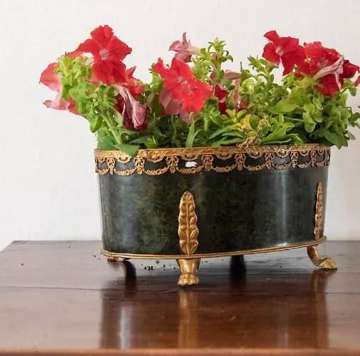 Il Tenore D'oro Centralissimo פארמה